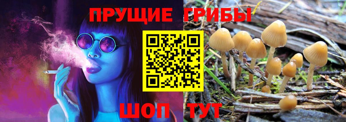 Галлюциногенные грибы MAGIC MUSHROOMS Узловая